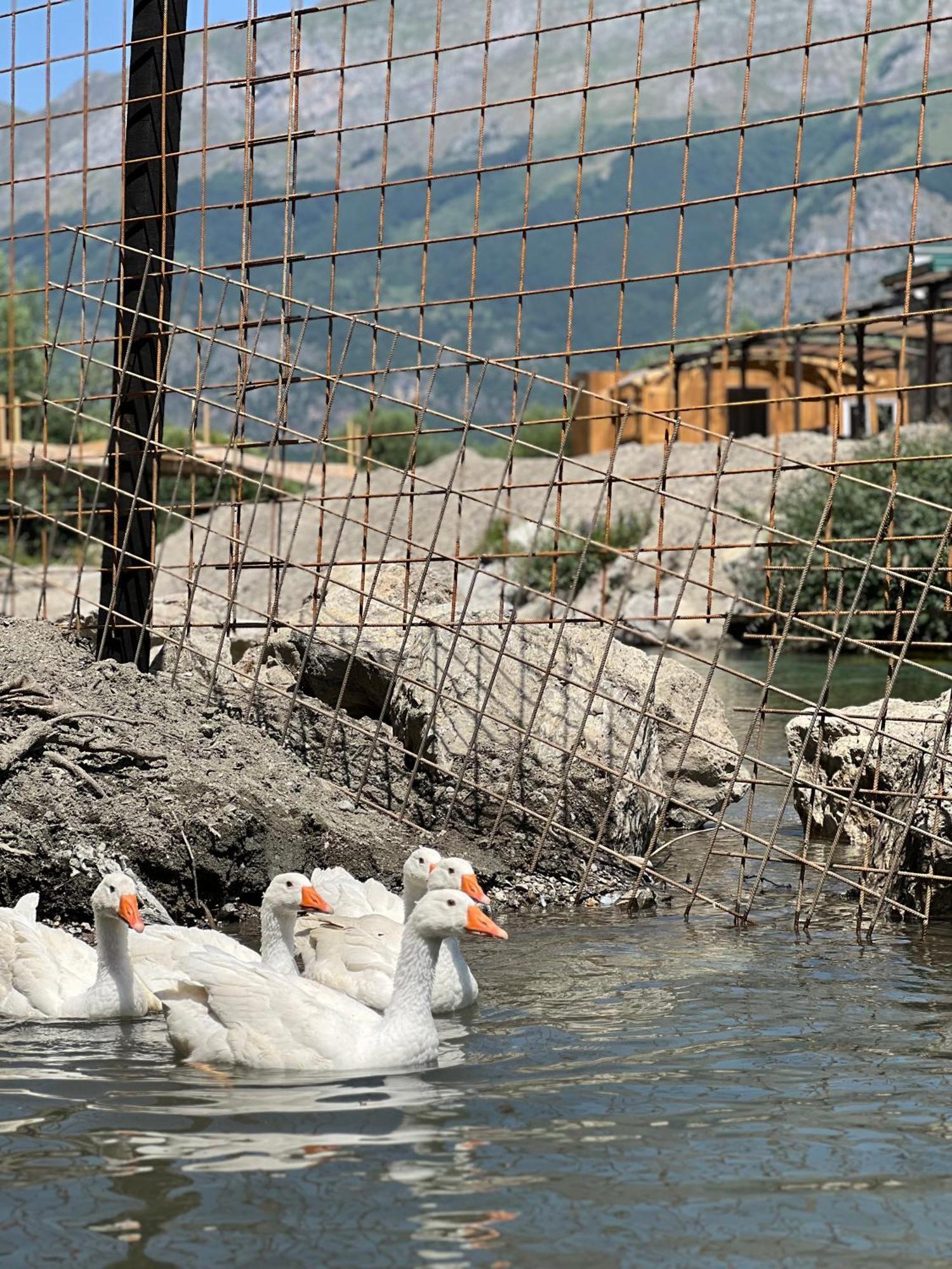 Mountain View Resort Gusinje Εξωτερικό φωτογραφία
